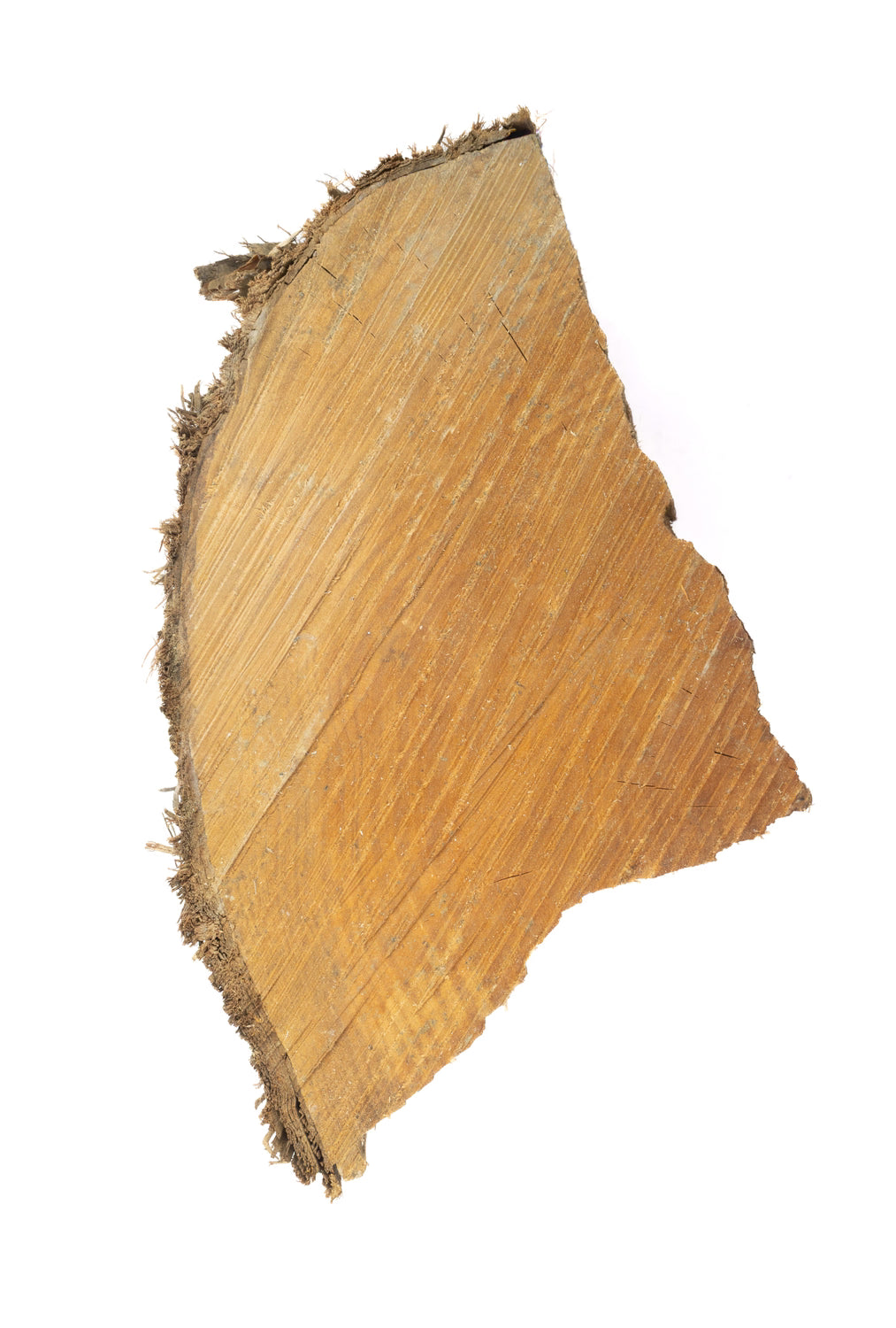 Manuka (Suitable for burning 2026)